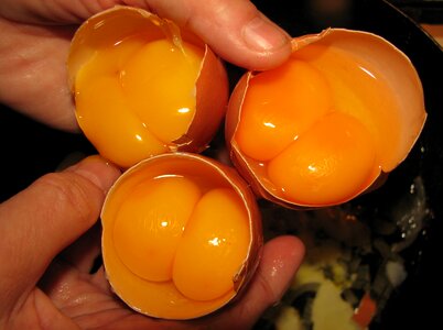 Double Egg Yolk photo