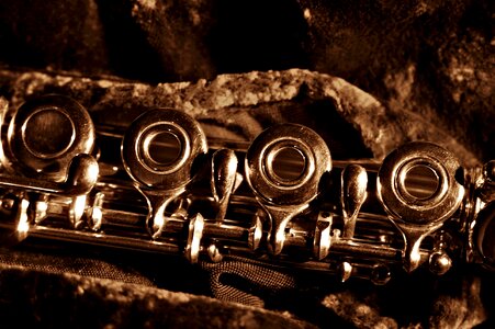 German flute sepia instrument photo