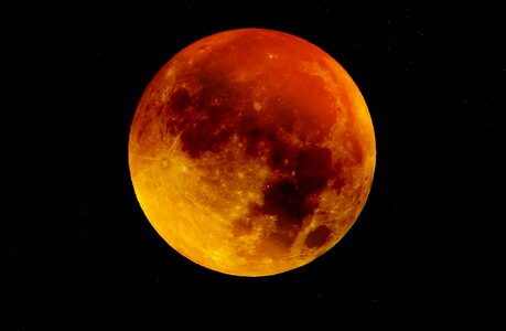 Blood Moon photo