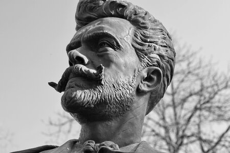 Black And White bust man photo
