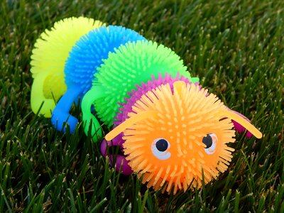 Worm cute play