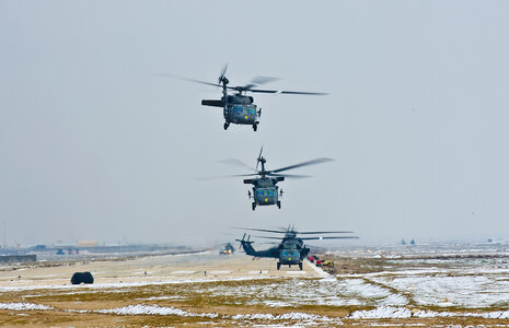 UH-60 Black Hawk helicopters photo