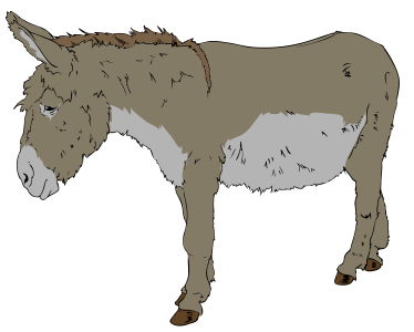 Donkey