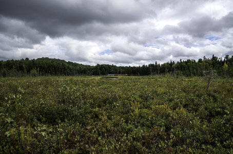 Cloudy Skies over the Bog at Algonquin Provincial Park, Ontario