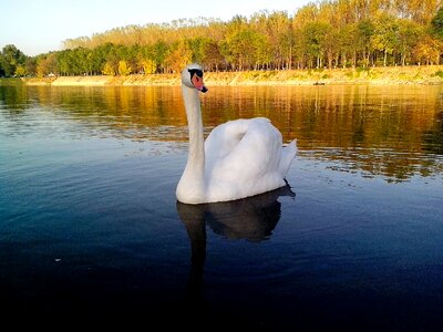 Camp float lake photo