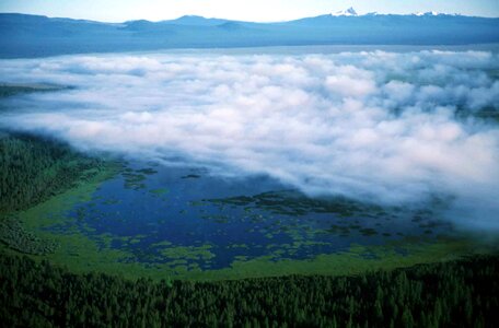 Bell foggy scenic