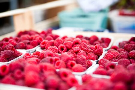 Sweet fruits fruit