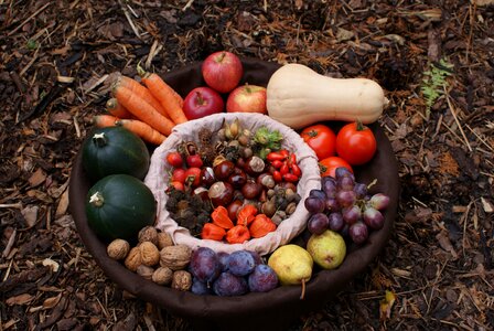 Pumpkin carrots grapes photo