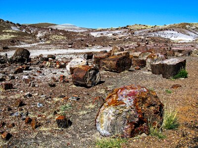 Petrified Forest National Park