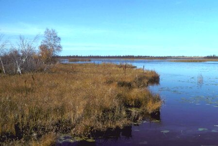 Flats marsh river