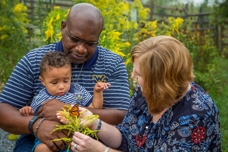 Family with monarch butterfly on goldenrod flowers-3