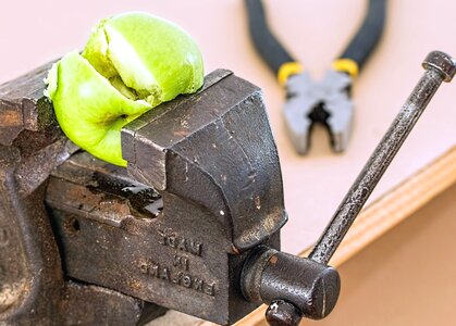 Apple beautiful photo cast iron photo