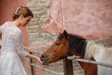 Horse ranch cowgirl photo