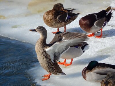 Outside water frozen