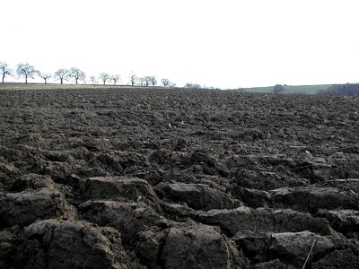 Bearing plowing 