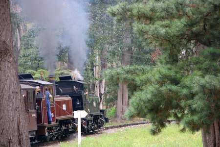Puffing Billy steam locomotive