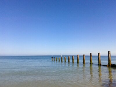 Beach cormorant holiday