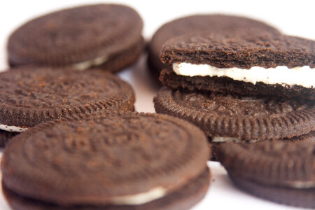 Chocolate Biscuits