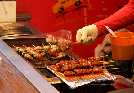 delicious chicken kebab on grill photo