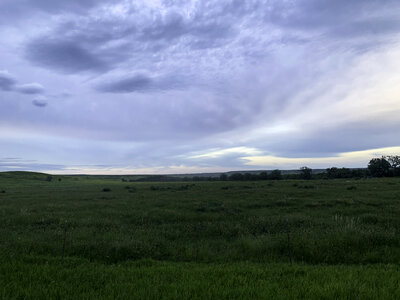 Grasslands in Wasta, South Dakota
