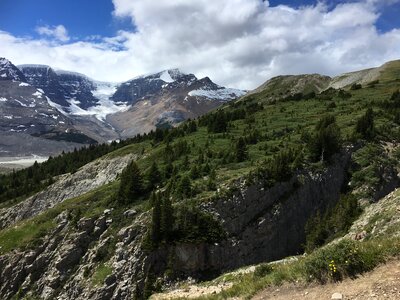 Snow Covered Mt Athabasca From the Wilcox Pass Trail