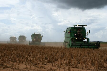 Soy landscape agriculture