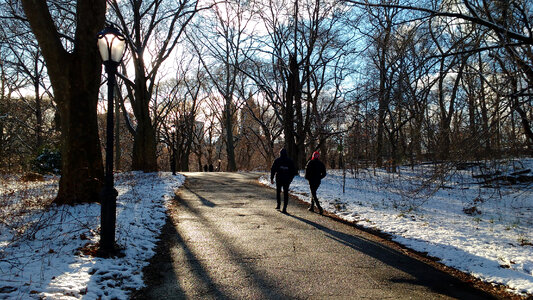 New York central park photo