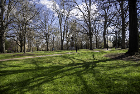Trees on the main quad of UNC Chapel Hill, North Carolina photo
