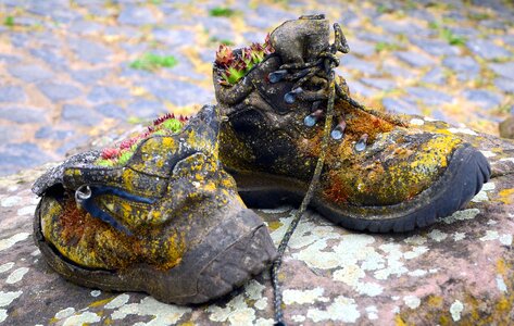 Beautiful Photo colorful dirty