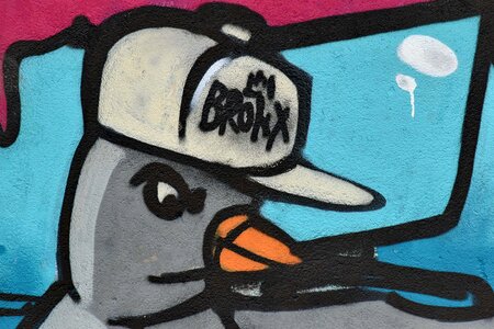 Bird graffiti art