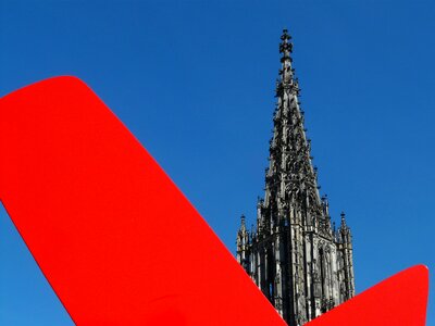 Red dog ulm ulm cathedral photo