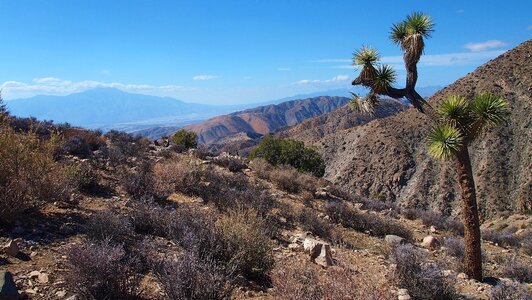 Park landscape national photo