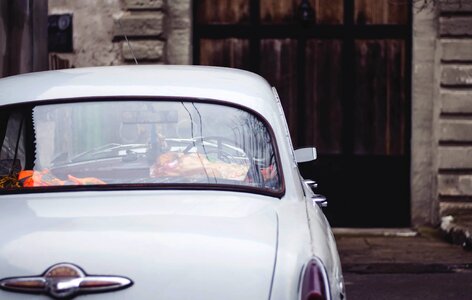 Antique automobile automotive