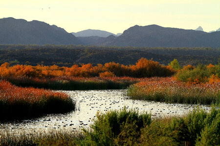 View of moutain stream in Cibola NWR photo