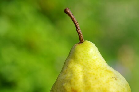 Yellow nature vitamins