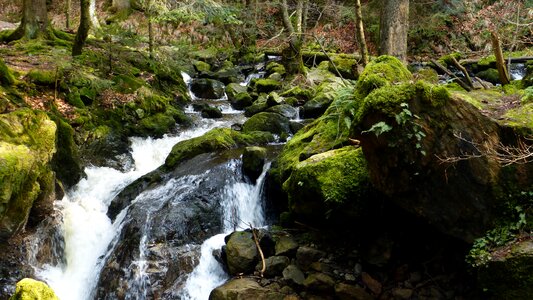 Gorge ravenna gorge nature photo