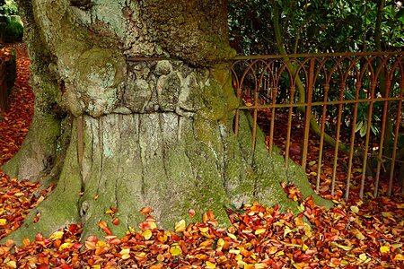 Old fence log