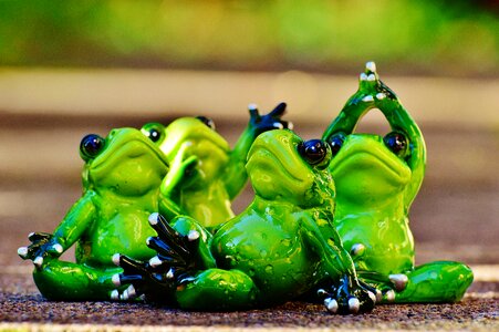Gymnastics funny frog