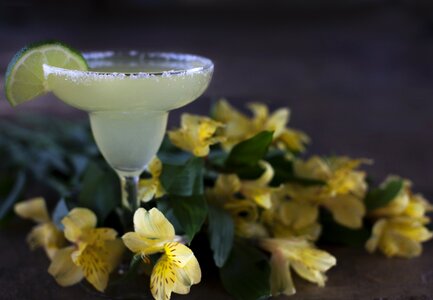 Tropical alcohol lime photo