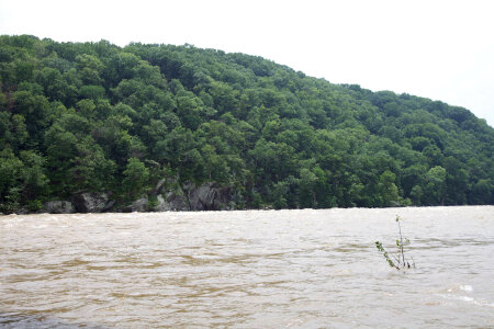 High river levels-1 photo