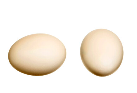 White eggs
