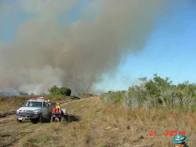 Burn savanna 