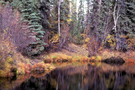 Scenic View of Tetlin National Wildlife Refuge-1