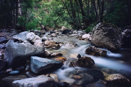 Big Rocks creek environment