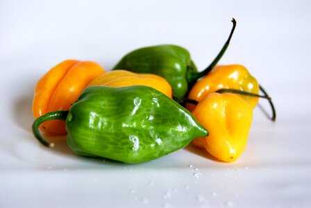 Spicy peppers vegetables photo