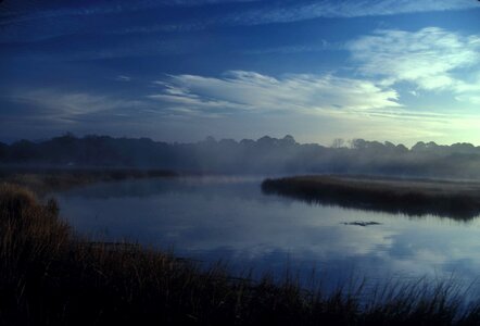 Estuary marsh river