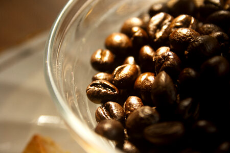 Coffee Beans Bowl 2 photo