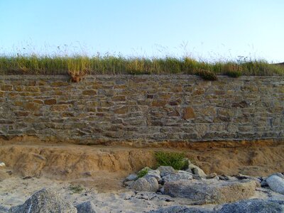 Phylum wall 