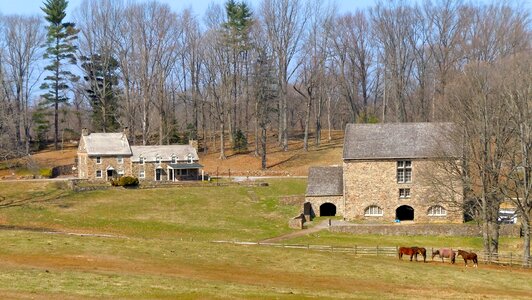 Rustic landscape horses