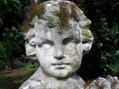 Particular head angel